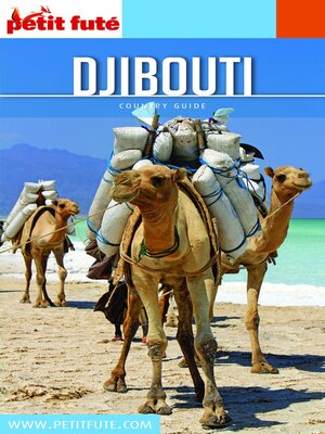 cover image of Djibouti 2020/2021 Petit Futé